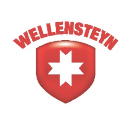 wellensteyn_logo